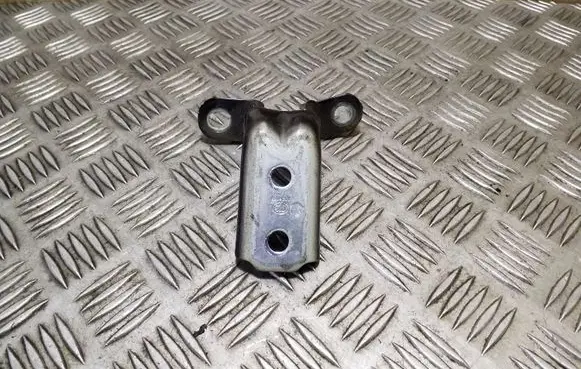 KIA Soul Front door lower hinge 