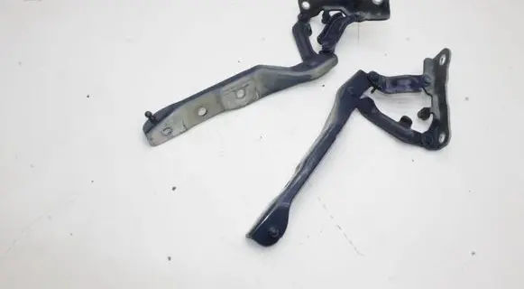 KIA EV6 Engine bonnet/hood hinges