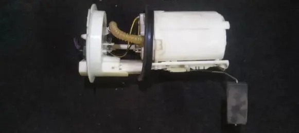 Volkswagen Eos In-tank fuel pump 1k0919051