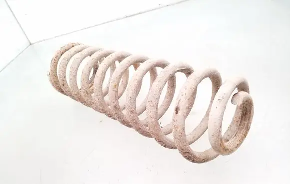 Rear coil spring