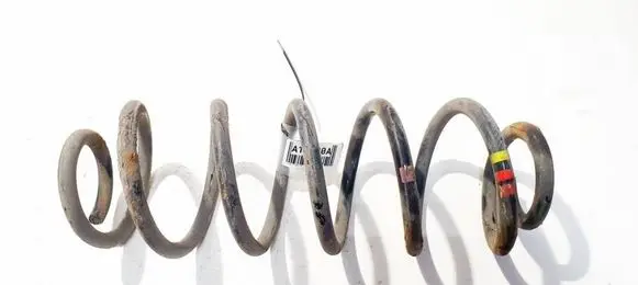 Rear coil spring