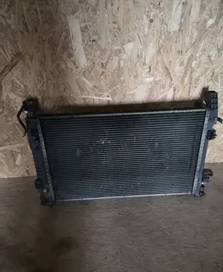 Mercedes-Benz B W245 Coolant radiator 1695000403