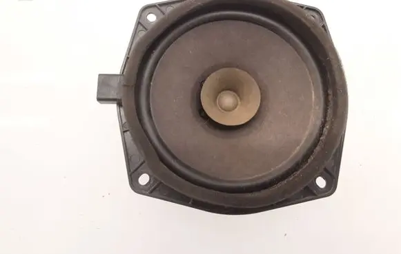 Rear door speaker