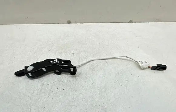 Renault Scenic IV - Grand scenic IV Front door interior light 170514728