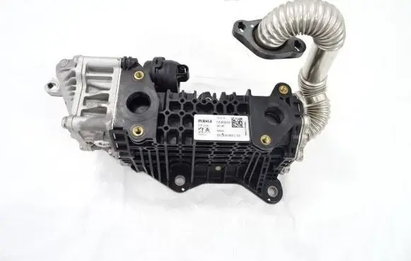 Opel Combo E EGR valve cooler 9813050280
