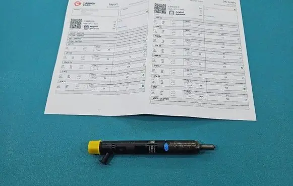 Dacia Logan I Fuel injector EJBR05101D IMPRK1513742