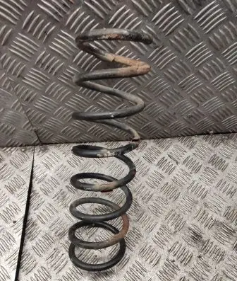 Volkswagen PASSAT B6 Rear coil spring