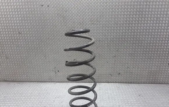 Seat Ibiza III (6L) Rear coil spring