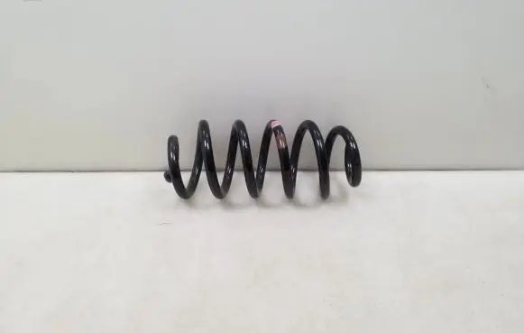 Rear coil spring