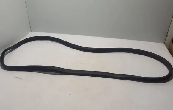 Dacia Sandero III Front door rubber seal 808328711R