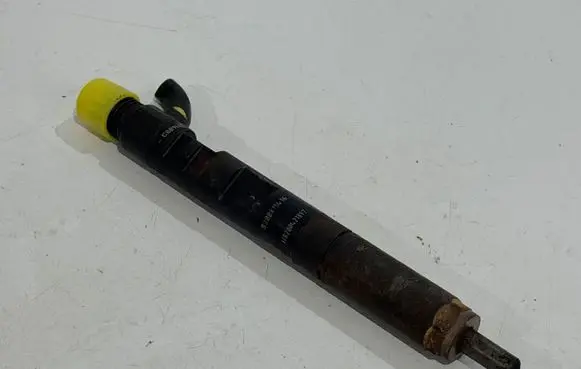 Renault Kangoo II Fuel injectors set 8200815416