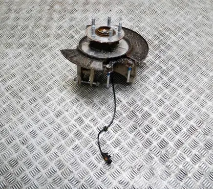 Rear wheel hub