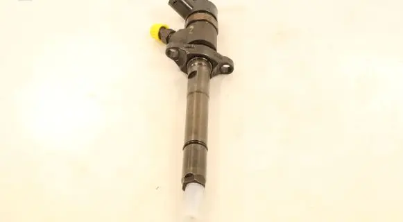 Peugeot 407 Fuel injector 0445110259