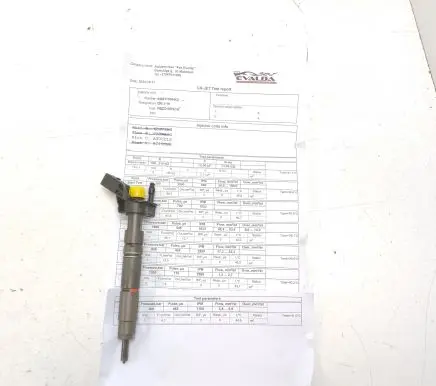 Chrysler 300 - 300C Fuel injector A6420701387 0445115064