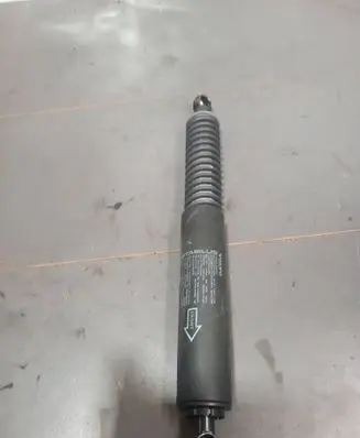 Tailgate/trunk strut/damper