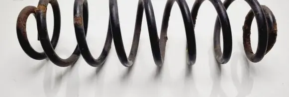 Ford Ecosport Rear coil spring