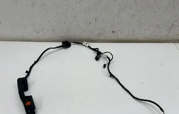 Volkswagen T-Cross Rear door wiring loom 2GM970136H