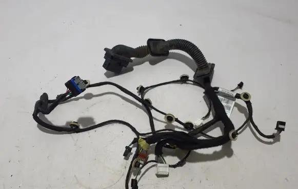 Renault Arkana Other wiring loom 241249596R