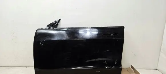 Tesla Model 3 Front door