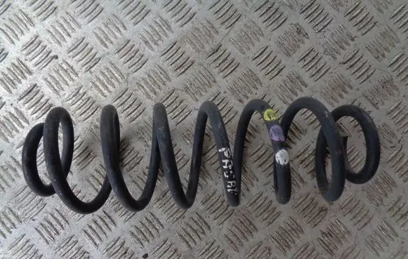 Rear coil spring