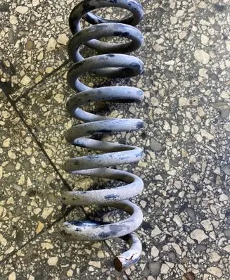 Rear coil spring