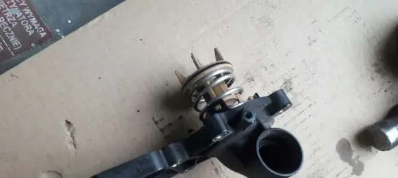 Thermostat/thermostat housing