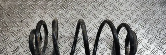 Rear coil spring