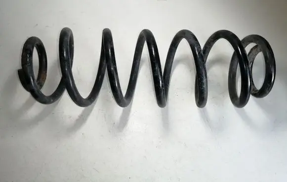 Volkswagen PASSAT B6 Rear coil spring