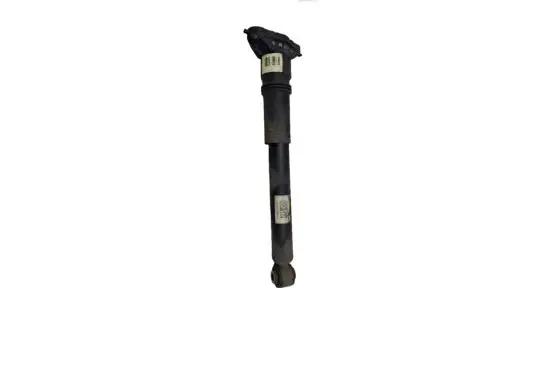 Citroen C4 III e-C4 Rear shock absorber/damper 9841379480