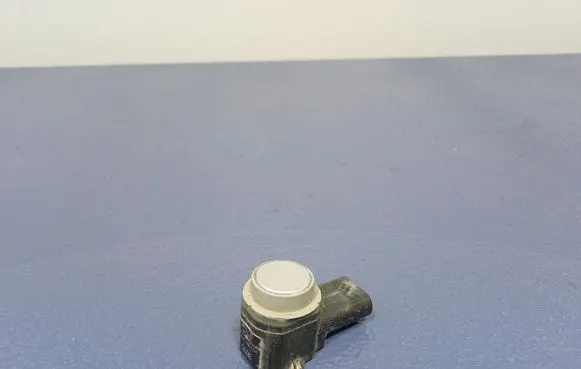 Audi Q5 SQ5 Parking PDC control unit/module 3C0919275S