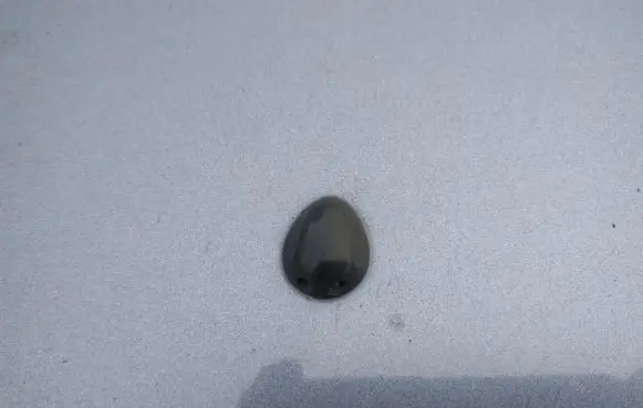 Renault Scenic I Windshield washer spray nozzle 
