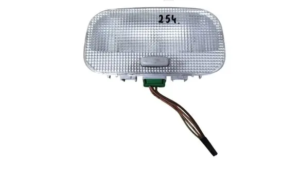 Peugeot 307 Front seat light