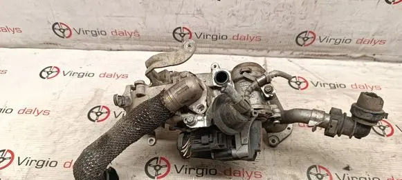 Citroen C4 II EGR valve 505923010