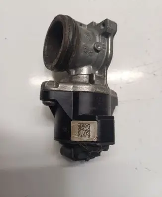 EGR valve