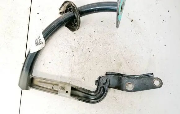 Volkswagen PASSAT B6 Tailgate/trunk/boot hinge 3c5827301