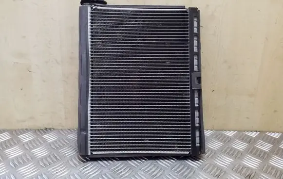Land Rover Range Rover Sport L320 Air conditioning (A/C) radiator (interior) 