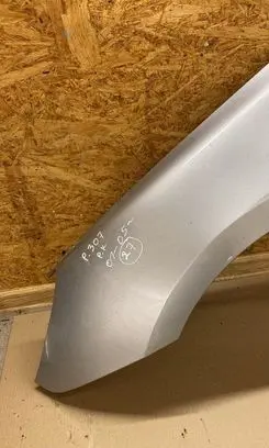 Peugeot 307 Fender