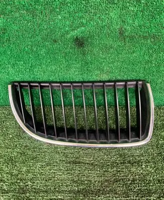 BMW 3 E90 E91 Front grill 22405910