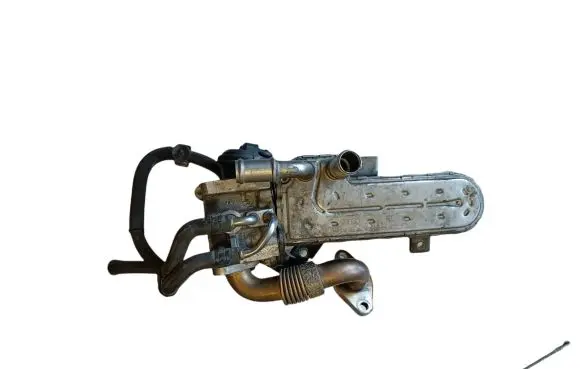 Volkswagen Golf Plus EGR valve cooler 038131513AD 055063210275