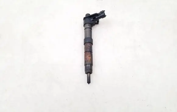 Land Rover Evoque I Fuel injector 9687454480