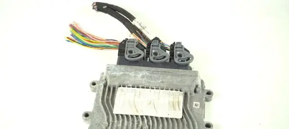 Engine control unit/module ECU