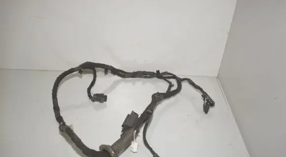 Rear door wiring loom
