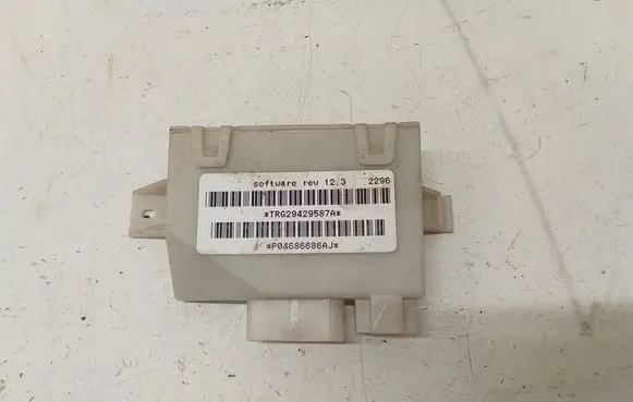 Chrysler Grand Voyager IV Sliding door trim P04686686AJ