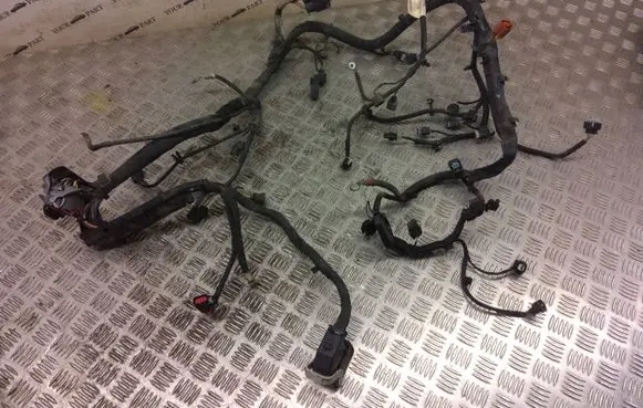 Ford Ecosport Engine installation wiring loom fv2t12a522bdc