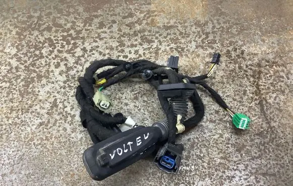 Rear door wiring loom