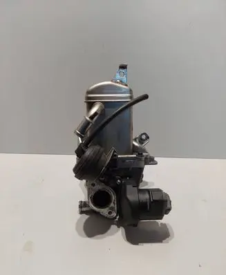 EGR valve