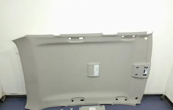 BMW X1 E84 Headlining 