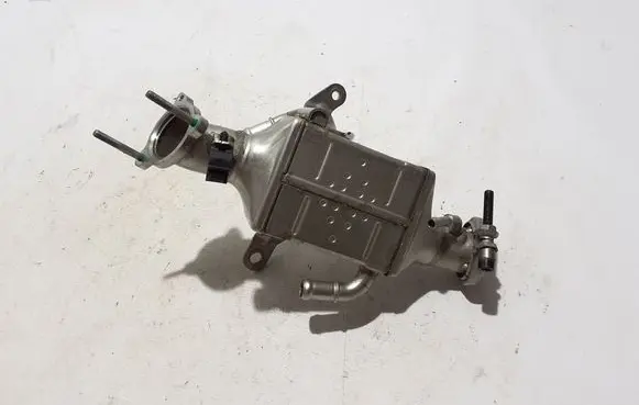 EGR valve cooler