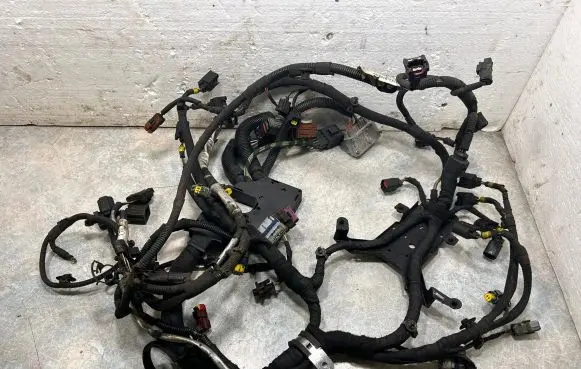 Land Rover Range Rover Sport L320 Engine installation wiring loom 6H3Q9H589 11874970000