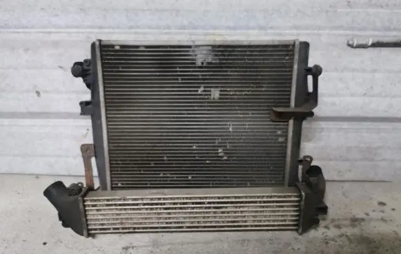 Renault Kangoo II Coolant radiator 8200319942